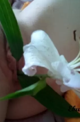 Images 2 - Муж засунул жене цветы в пизду 