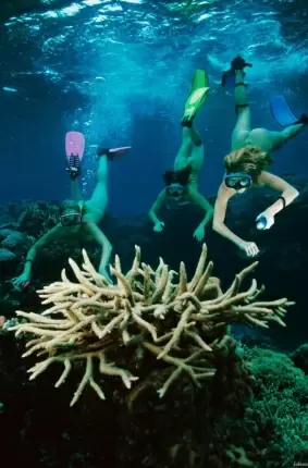 Images 16 - Голые девушки ныряют с аквалангом 