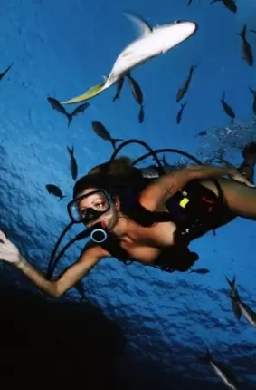 Images 3 - Голые девушки ныряют с аквалангом 