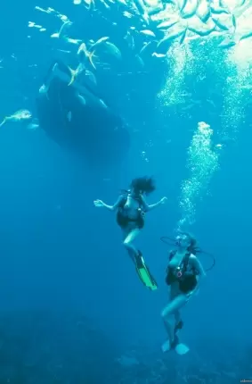 Images 13 - Голые девушки ныряют с аквалангом 