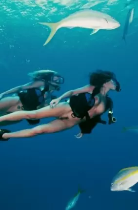 Images 1 - Голые девушки ныряют с аквалангом 