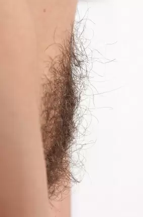 Images 9 - Привлекательная волосатая киска 
