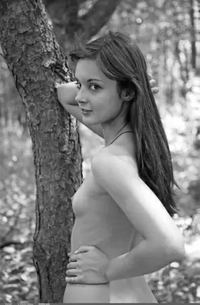 Images 3 - Чернобелые эротические фото в лесу - Красивая обнаженка со стройной дамой 