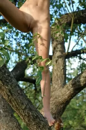 Images 5 - Зачетная телочка голышом на дереве 