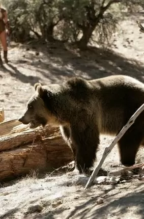 Images 11 - Грудастая развратница позирует рядом с диким медведем 