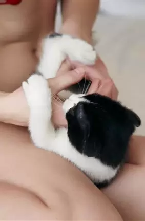 Images 2 - Сексуальная девчонка голышом гладит милого котика 