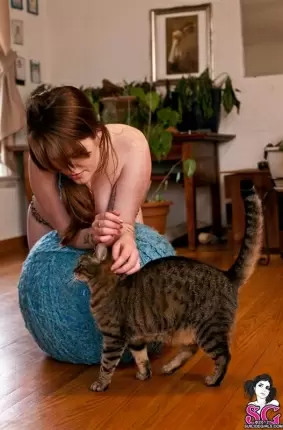 Images 26 - Скромная барышня играет с котиком 