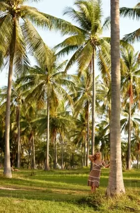 Images 1 - Отдых на курорте с женой под пальмами 