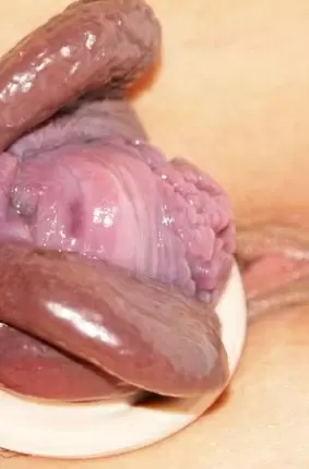 Images 10 - Сочные вагины после вакуумной помпы 